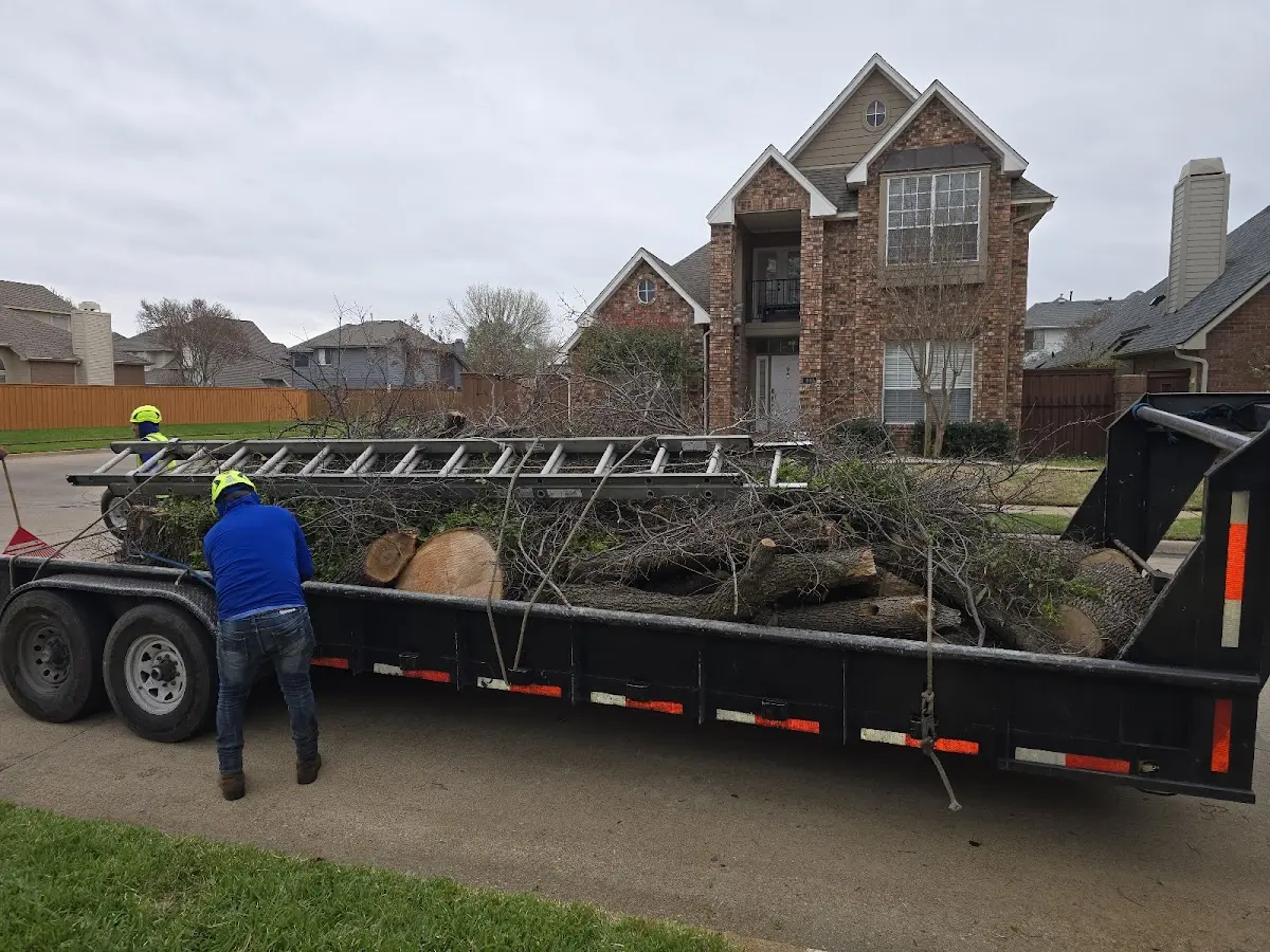 Expert Lot Clearing with proper safety equipment in Dover